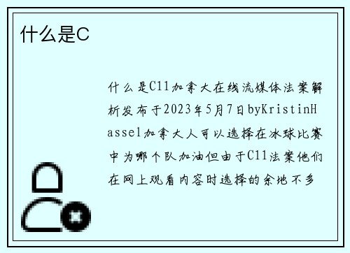 什么是C